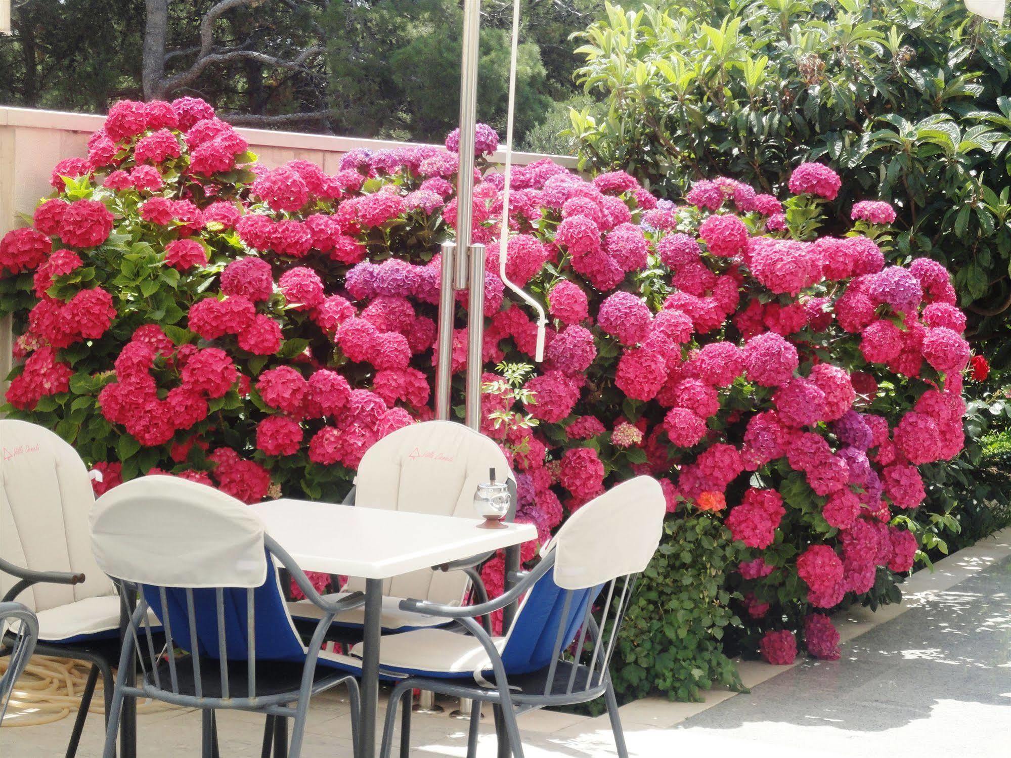 Villa Daniela Bol Extérieur photo